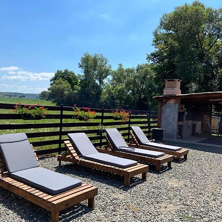 Casa Cu Flori Maramures بايا ماري المظهر الخارجي الصورة
