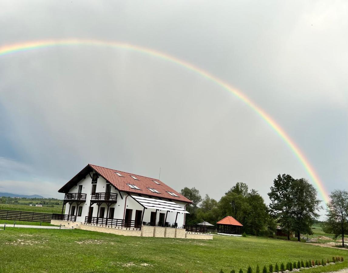 Casa Cu Flori Maramures بايا ماري المظهر الخارجي الصورة