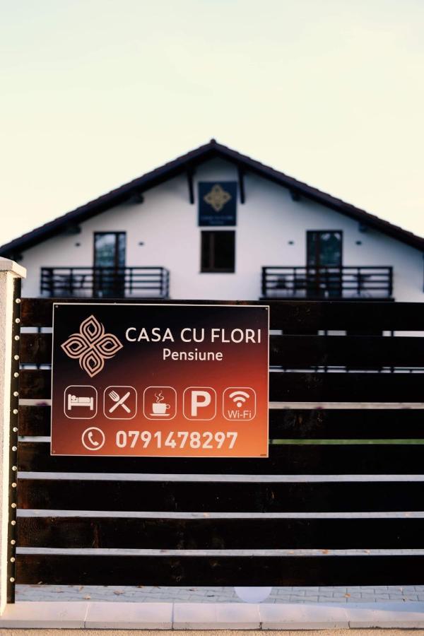 Casa Cu Flori Maramures بايا ماري المظهر الخارجي الصورة