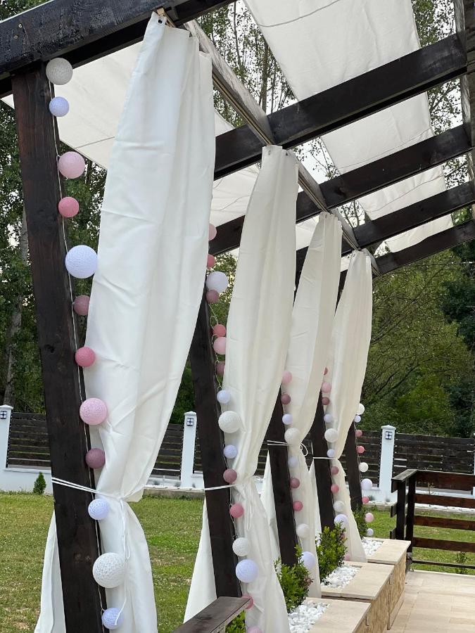 Casa Cu Flori Maramures بايا ماري المظهر الخارجي الصورة