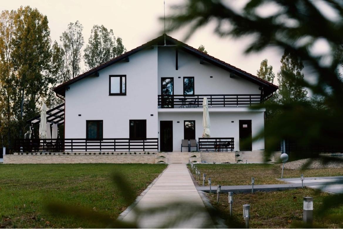 Casa Cu Flori Maramures بايا ماري المظهر الخارجي الصورة