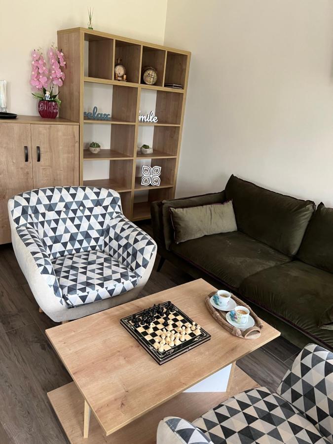 Casa Cu Flori Maramures بايا ماري المظهر الخارجي الصورة