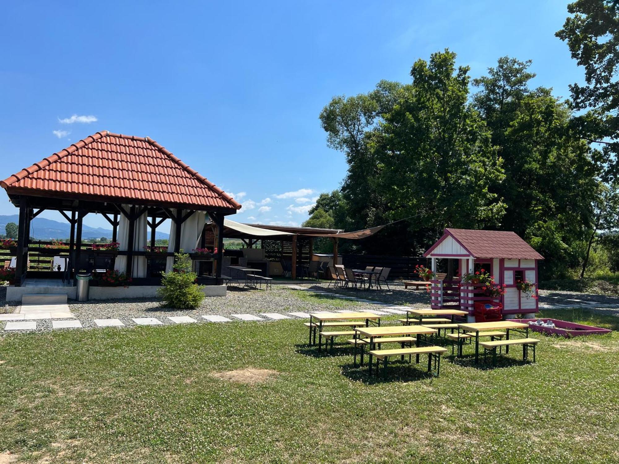 Casa Cu Flori Maramures بايا ماري المظهر الخارجي الصورة