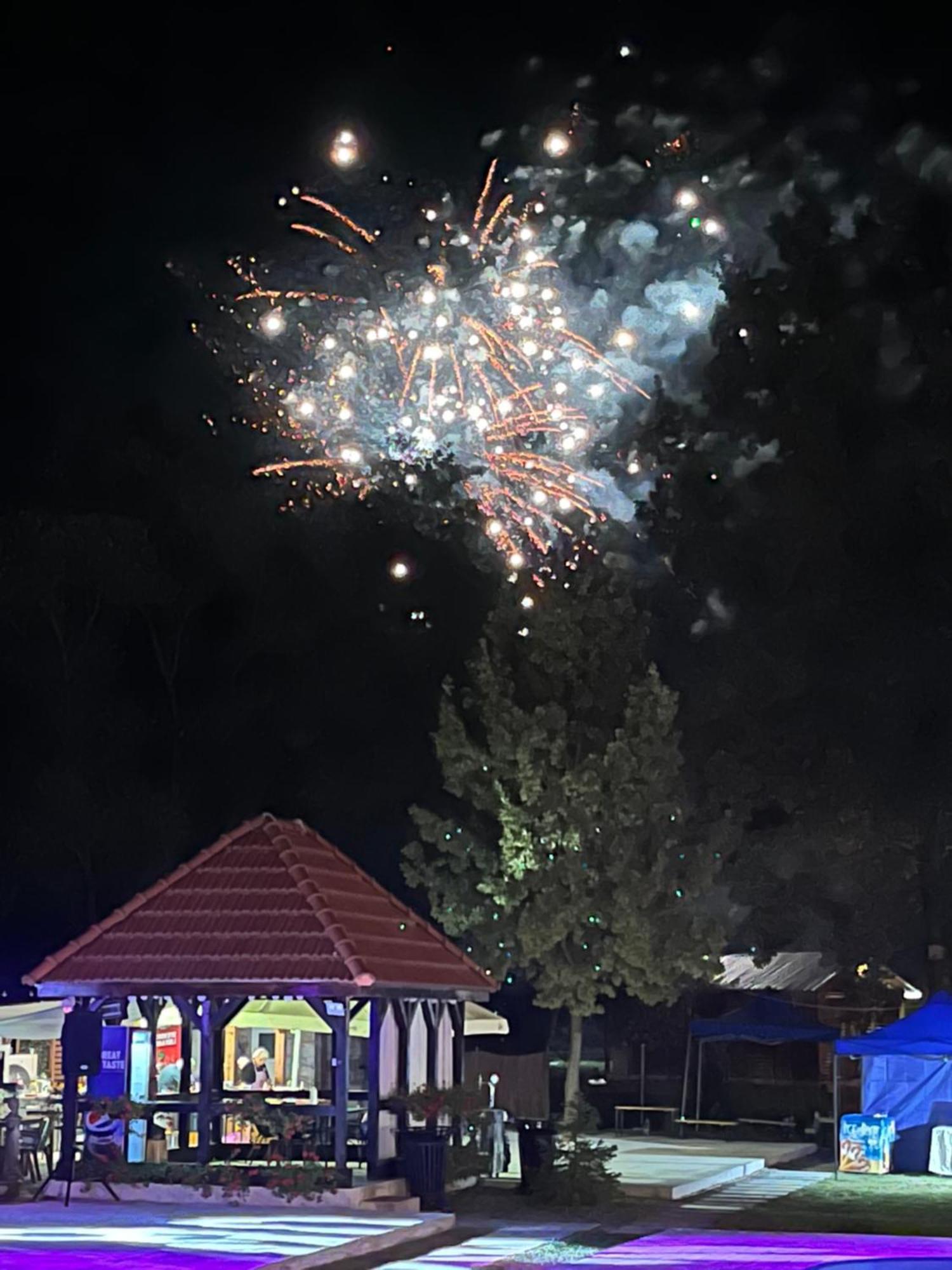 Casa Cu Flori Maramures بايا ماري المظهر الخارجي الصورة